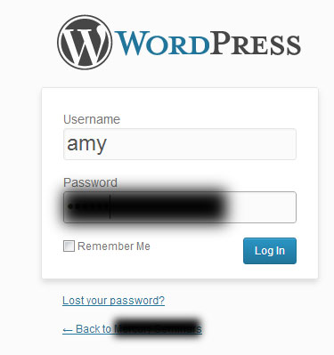 Your Wordpress Login Screen